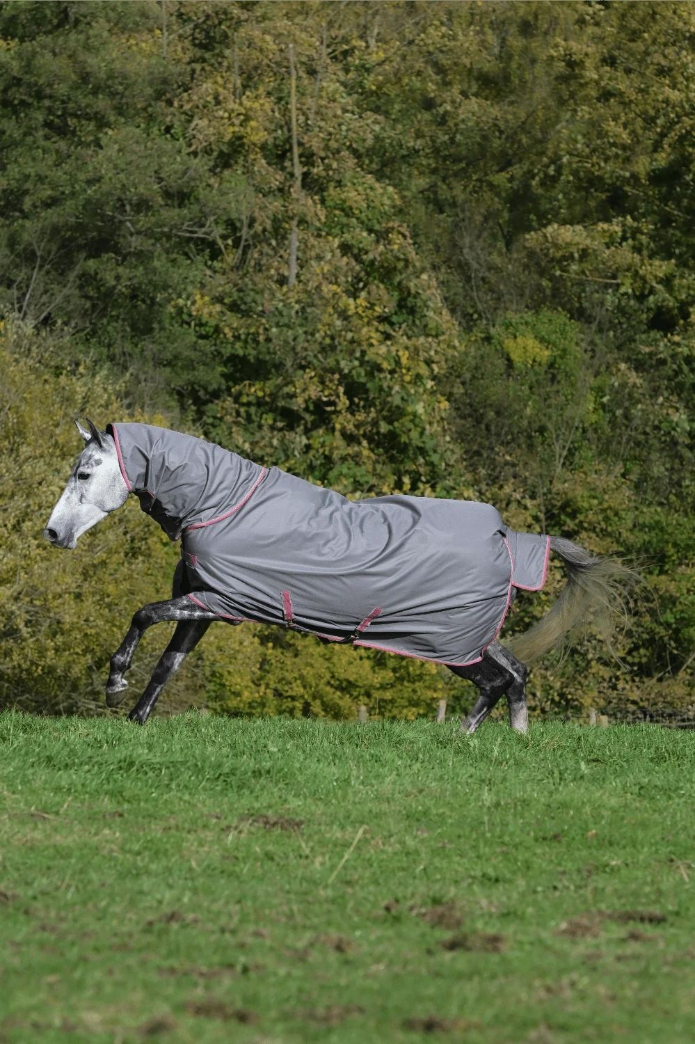 Derka padokowa Bucas Freedom Turnout 150g - Cavalo